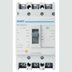 Chint Big Mcb 125a Nm1-125s
