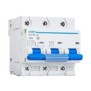 Chint Din T/pole Mcb 100amp Ac