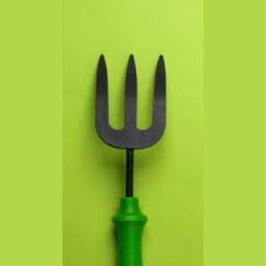 Garden Fork Mini