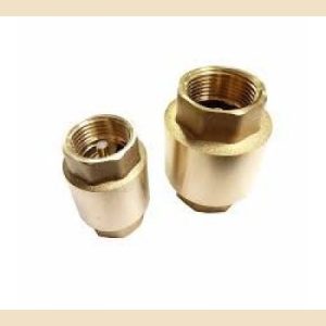 Non Return Valve 1in Spring