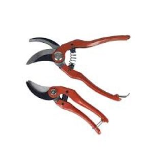 Pruning Shear