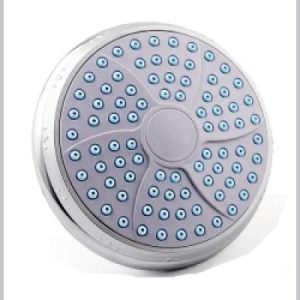 Shower Rose Small 3.5in