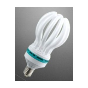 CFL BULB 105W