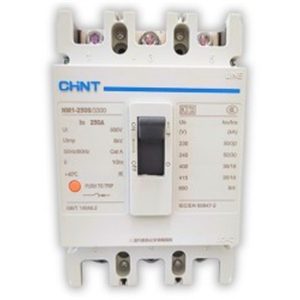 CHINT BIG MCB 250A NM1-250S